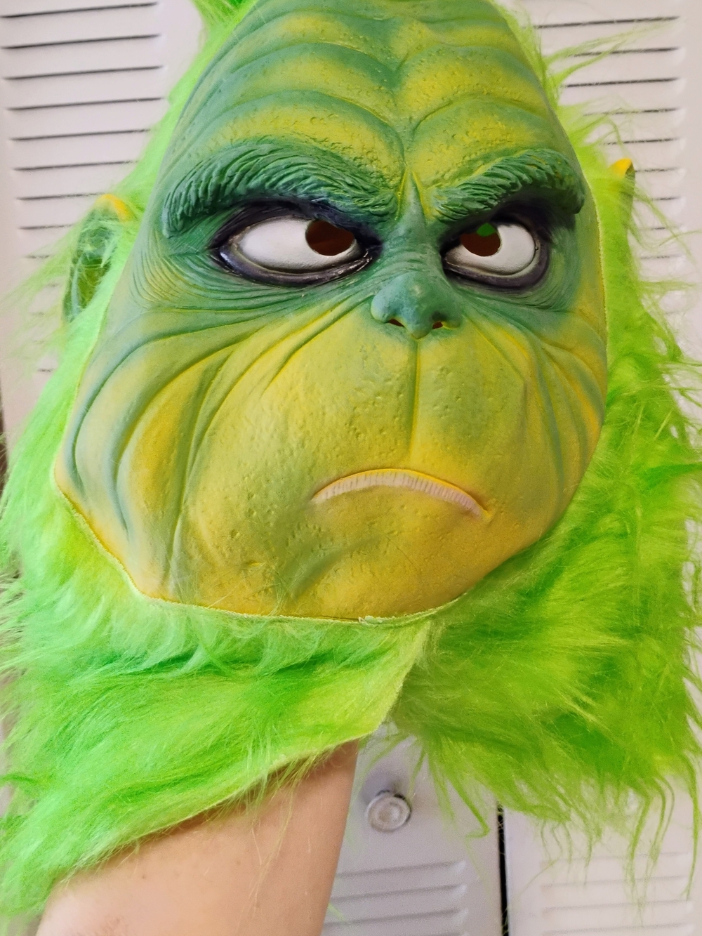 Green Grinch-Style Reptile Plush Mask for Pets Reptile Accessories